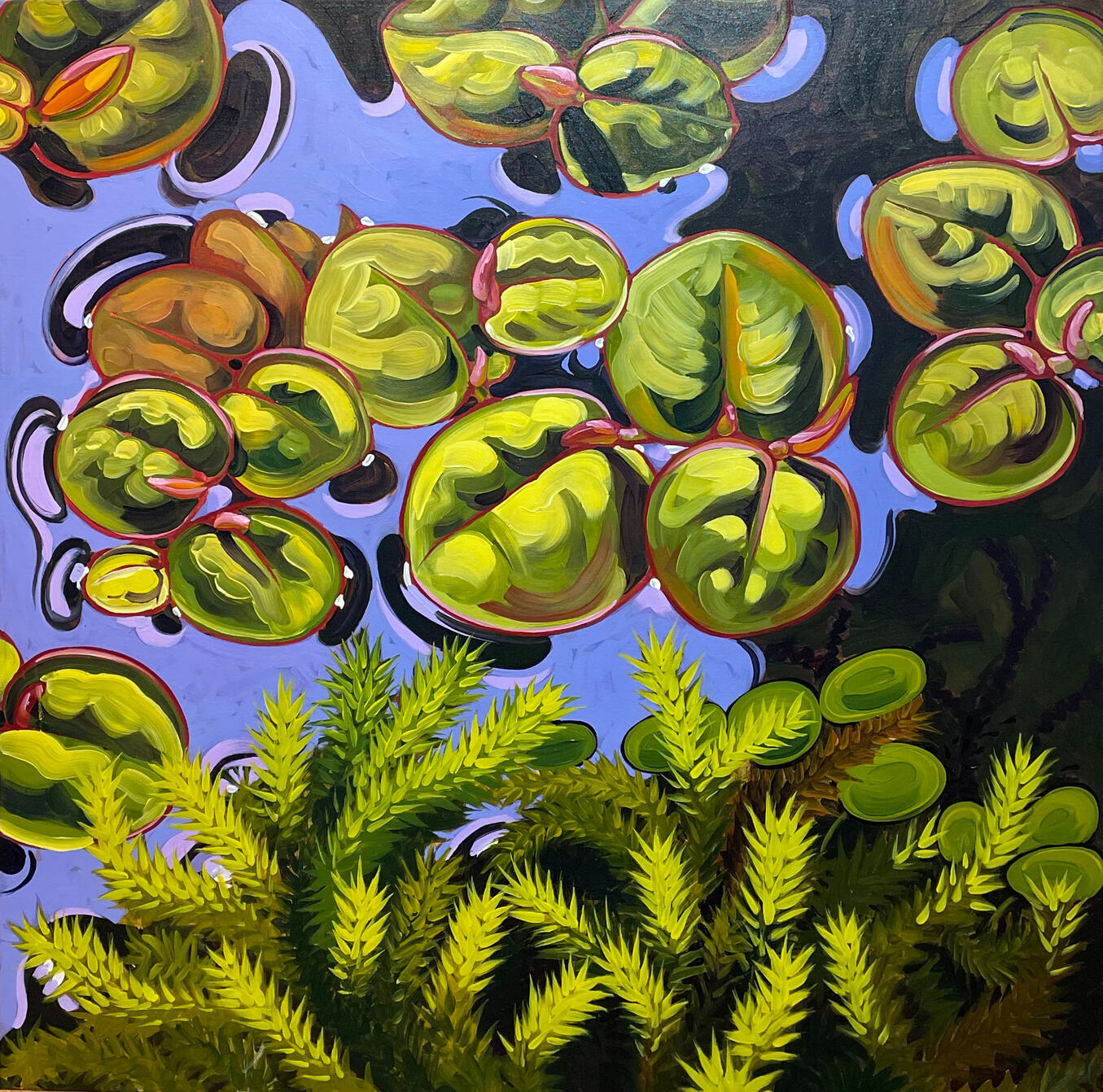 Moss By Pond 36 x 36 Acrylic